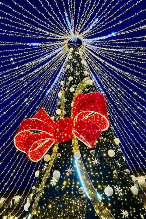 Visit Toulouse in December