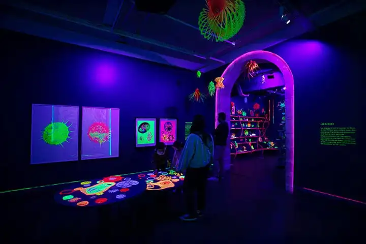 Musée en Herbe Paris