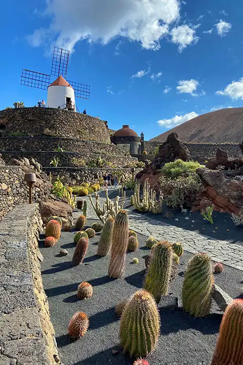 Visit Lanzarote in 1 Week: What to Do? What to See?
