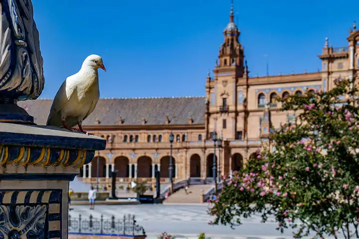 What to Do in Seville? 25 Must-Do Activities and Sights