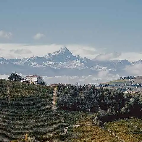 Piedmont