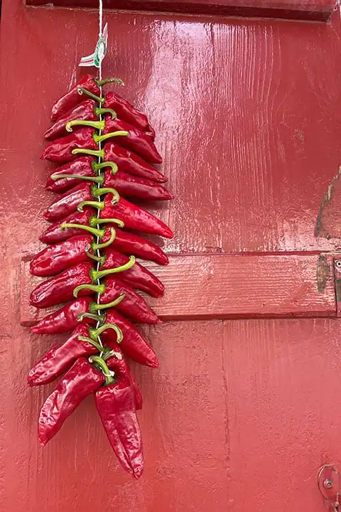 Red chilli peppers, Espelette