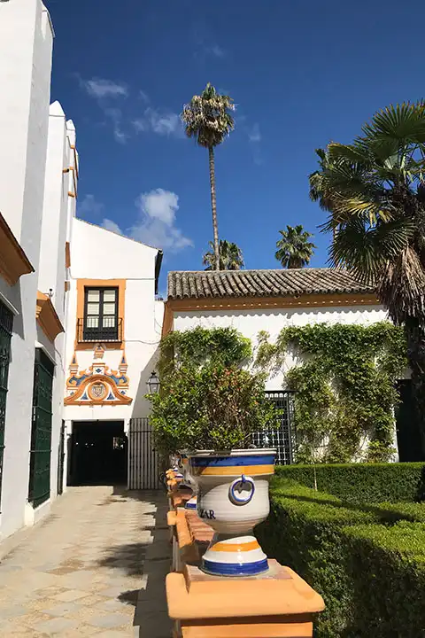 What to Do in Seville? 25 Must-Do Activities and Sights