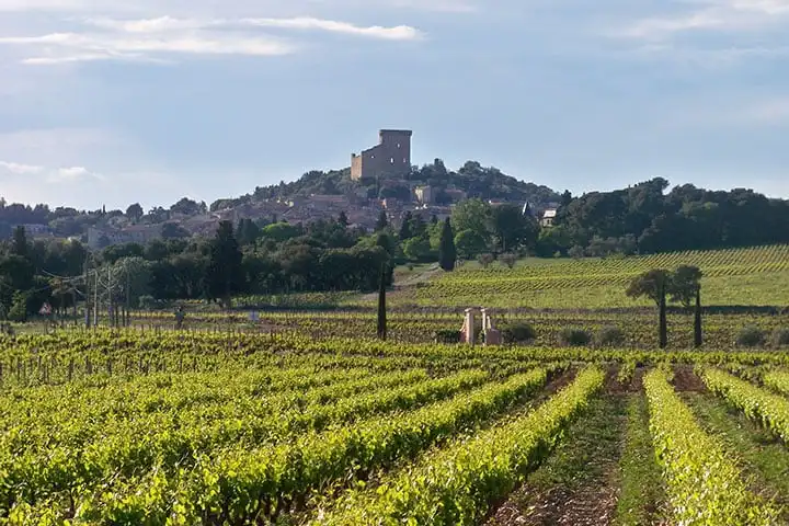 What to visit in Avignon and around? Châteauneuf-du-Pape