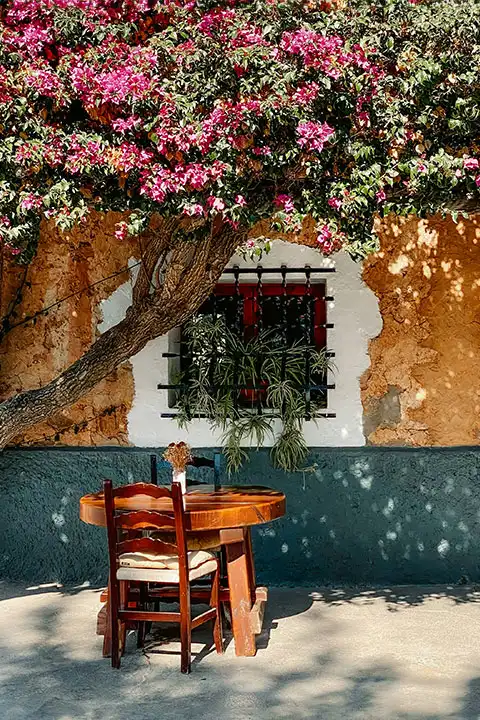 What to do in Ibiza? What to see and visit?