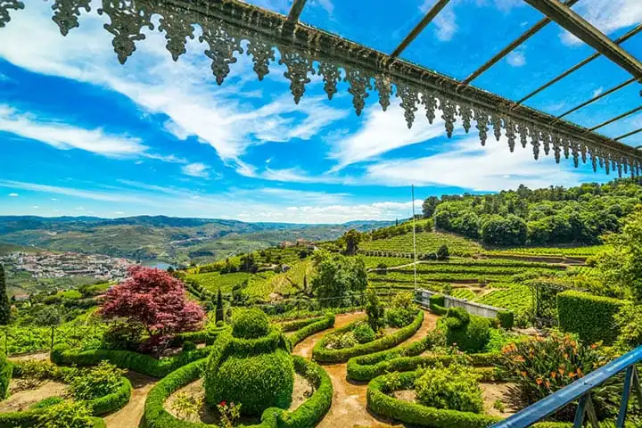 The Douro Valley and its wines