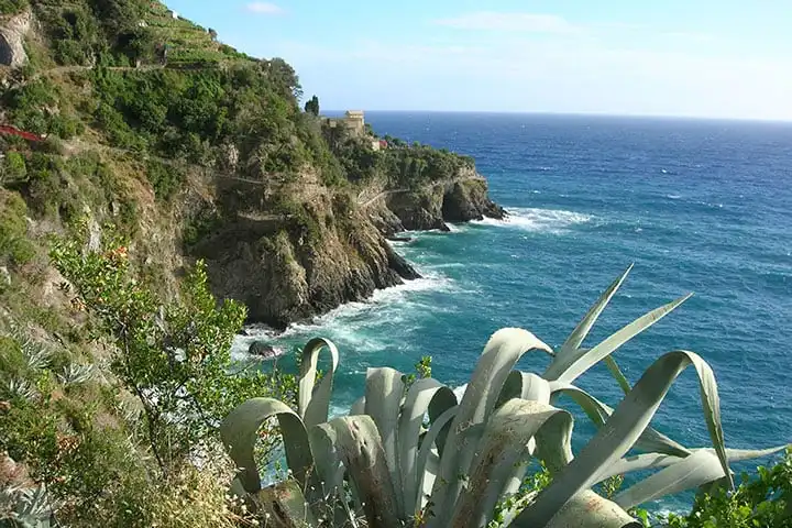 Cinque Terre hike