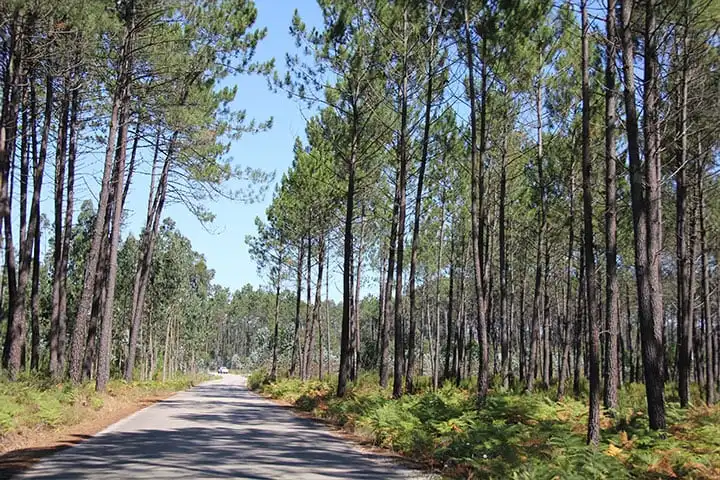 What to see in northern Portugal? Top 13 must-sees