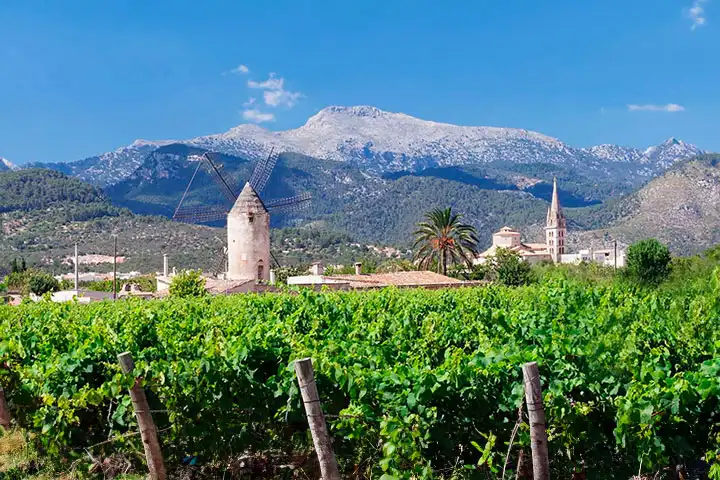 Visit Binissalem, one of the most beautiful villages in Majorca