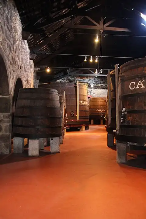 Visit the wine cellars, Porto