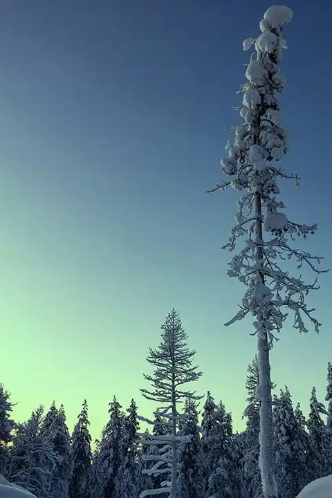 When to visit Santa Claus Village in Lapland