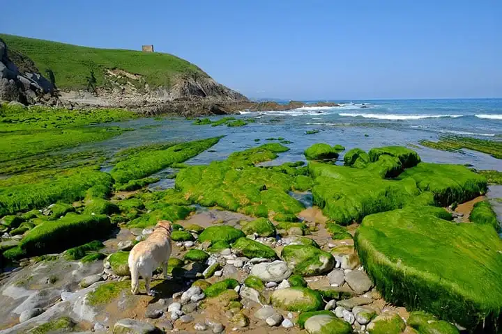 The most beautiful villages in Cantabria: top 10 to see