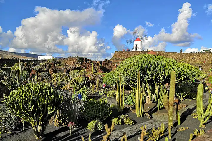 Cactus Garden Lanzarote