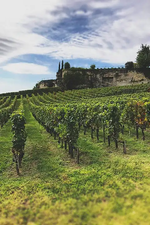 Visit Saint-Émilion, Bordeaux