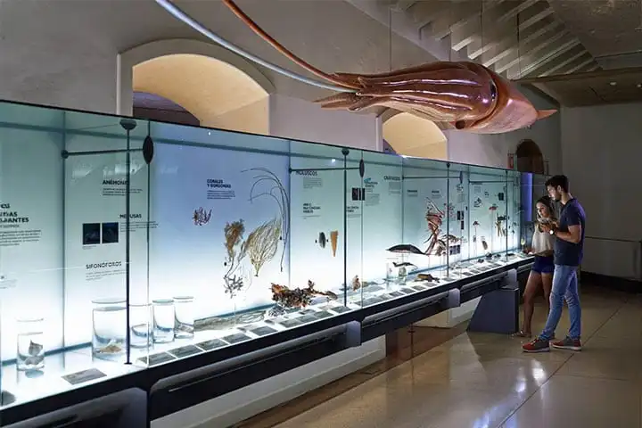 Museum of Nature and Archaeology (MUNA)