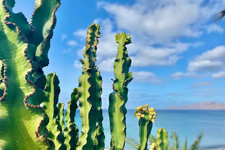 Hotel Lanzarote