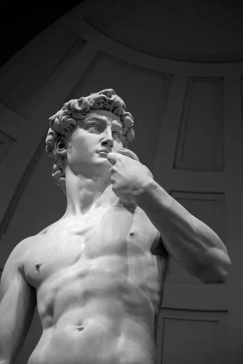 Michelangelo's David