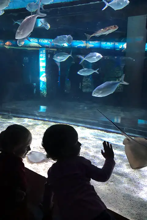 San Sebastián aquarium