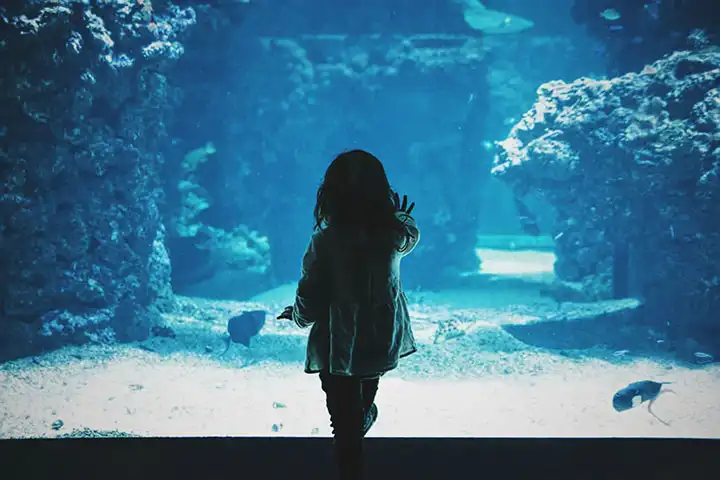 Aquarium Lanzarote