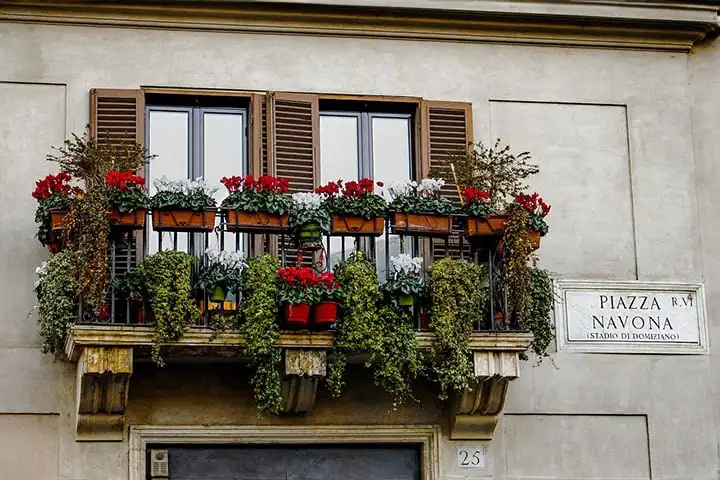 visit the Trastevere district
