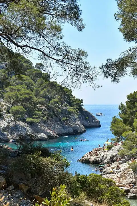 Explore the calanques of Frioul