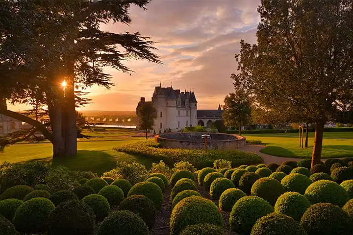 Royal Château d'Amboise
