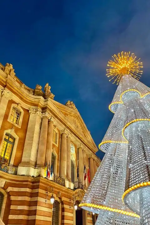 Visit Toulouse in 3 days