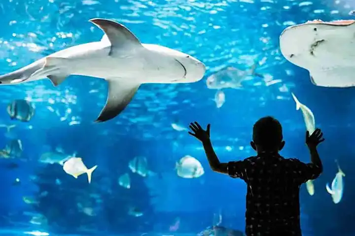 The Aquarium de Paris