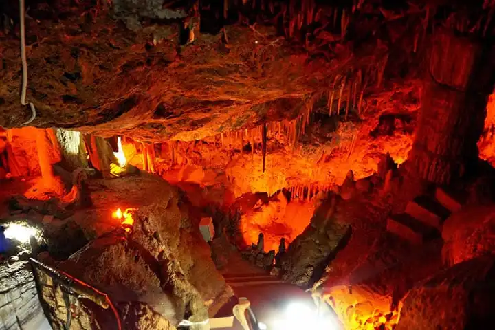 Cueva de Genova Official Site