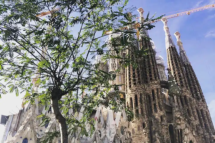 Sagrada Familia entry: tickets, opening hours, prices