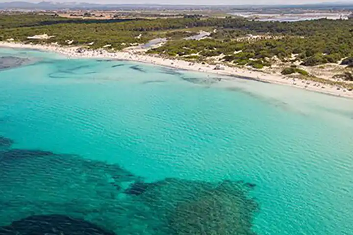 What to do in Palma de Majorca: 35 incredible activities and visits