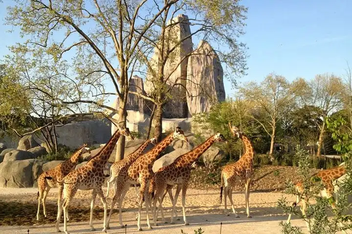 Vincennes Zoo