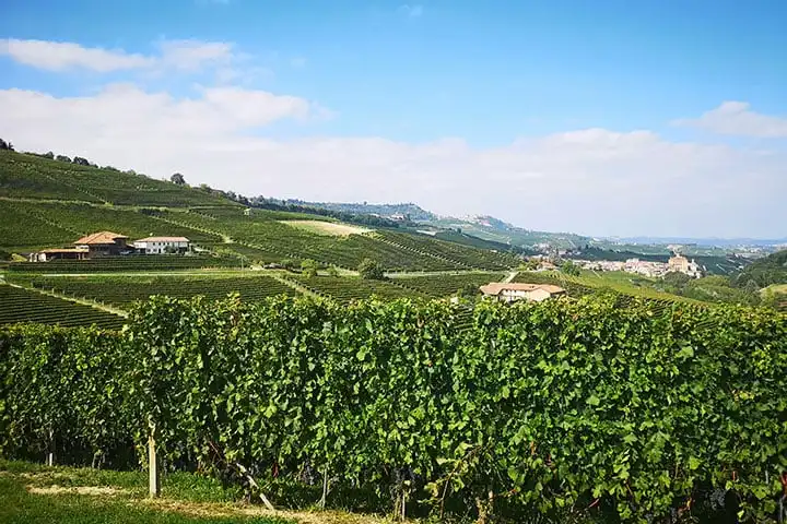 Visit Turin in 1 day: our Top 8 things to do