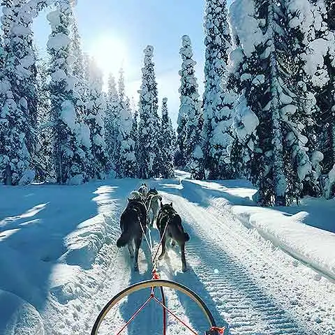 Rovaniemi