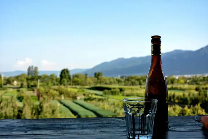 Empordà vineyards, Costa Brava