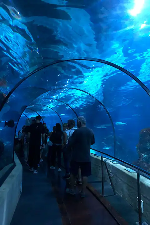 Barcelona Aquarium
