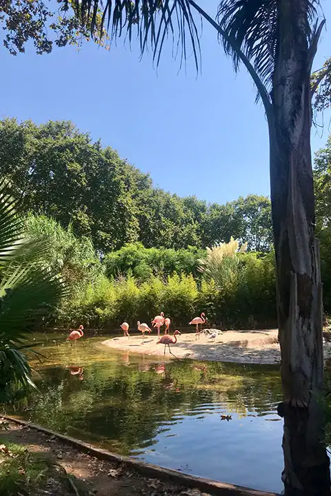 Barcelona Zoo