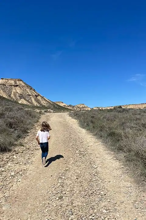 How to visit the Bardenas desert?