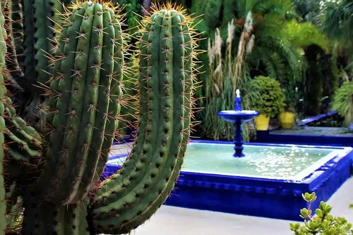 Majorelle Garden