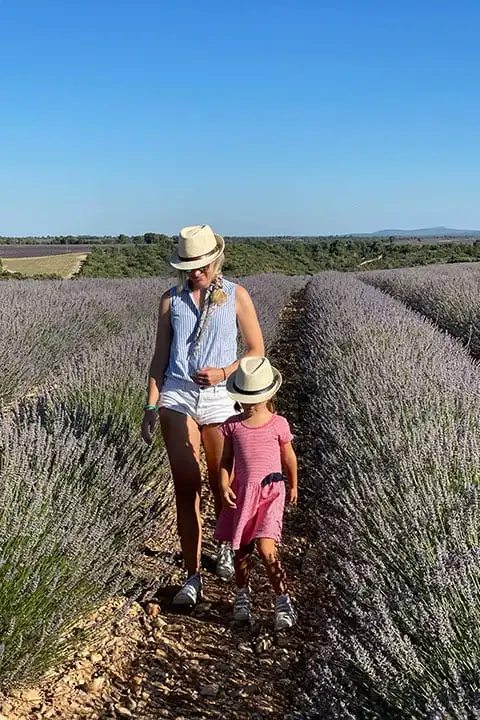 Discover Provence and its lavender fields