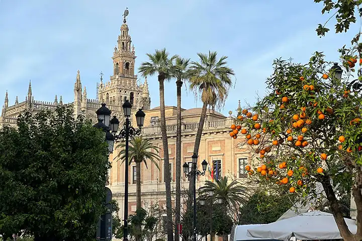 Visit the Jewish quarter Santa Cruz Seville