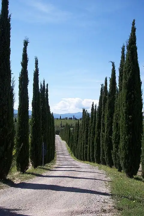 Visit Tuscany in 5 days