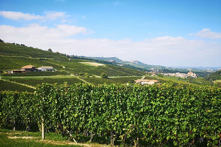 Piedmont