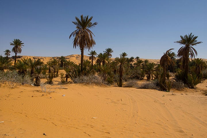Western Sahara