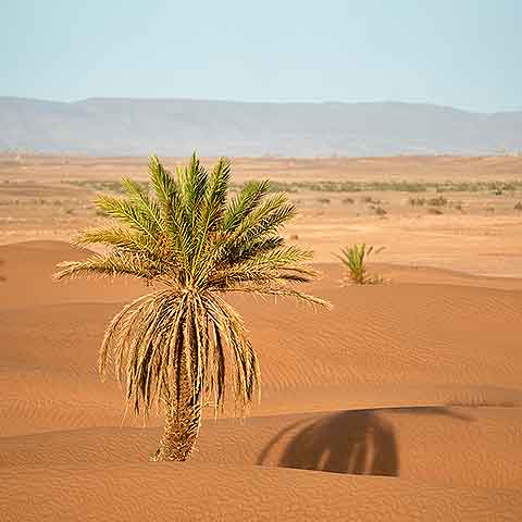 Western Sahara