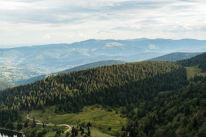 Vosges